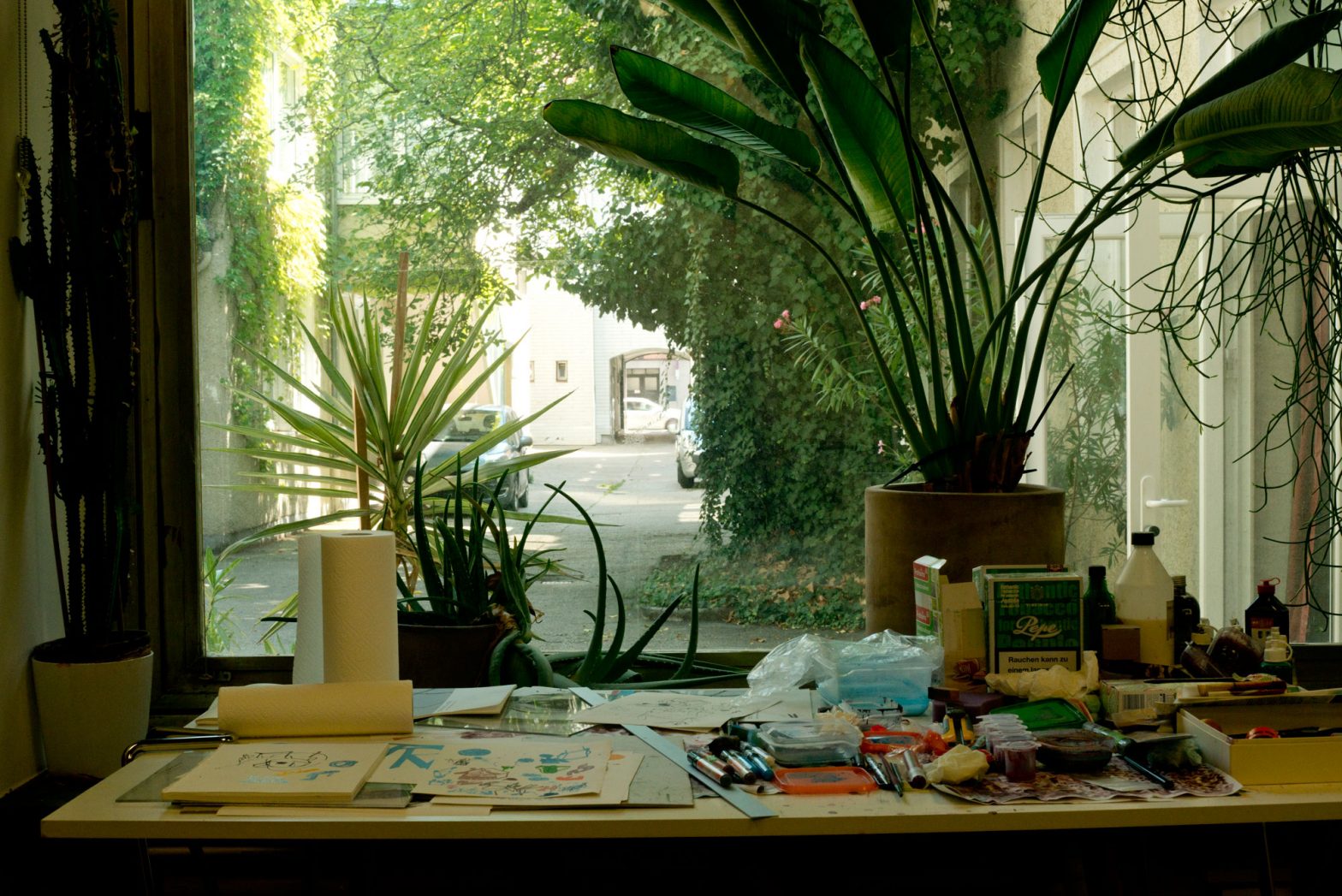 View out of the Studio